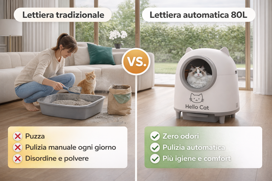 How to Choose the Best Automatic Litter Box for Your Cat