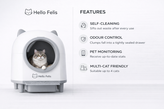 Hello Felis™ Automatic Self-Cleaning Cat Litter XL (80L)
